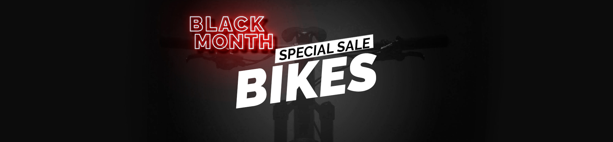 Special Black Friday Sale