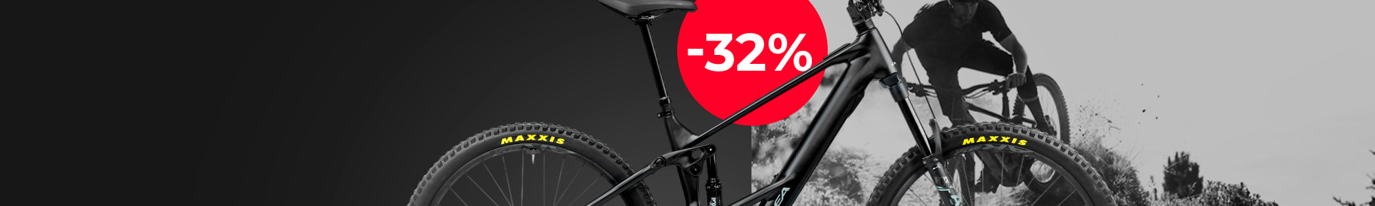 Orbea Wild ST