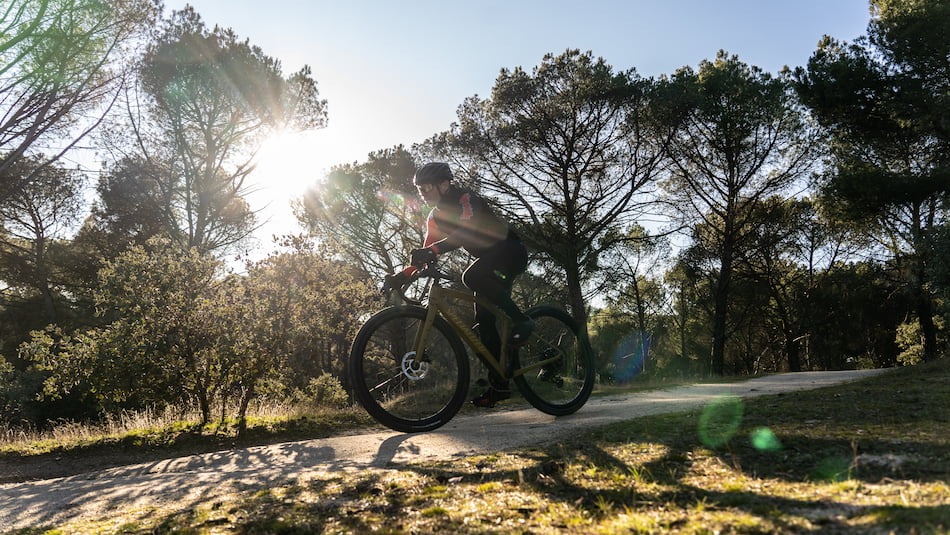 Wie man Gravelreifen auswhlt | Blog Mammoth