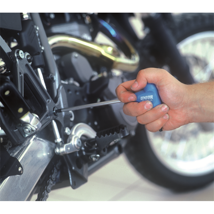 Werkzeuge Unior Unior Torx Mango T 6