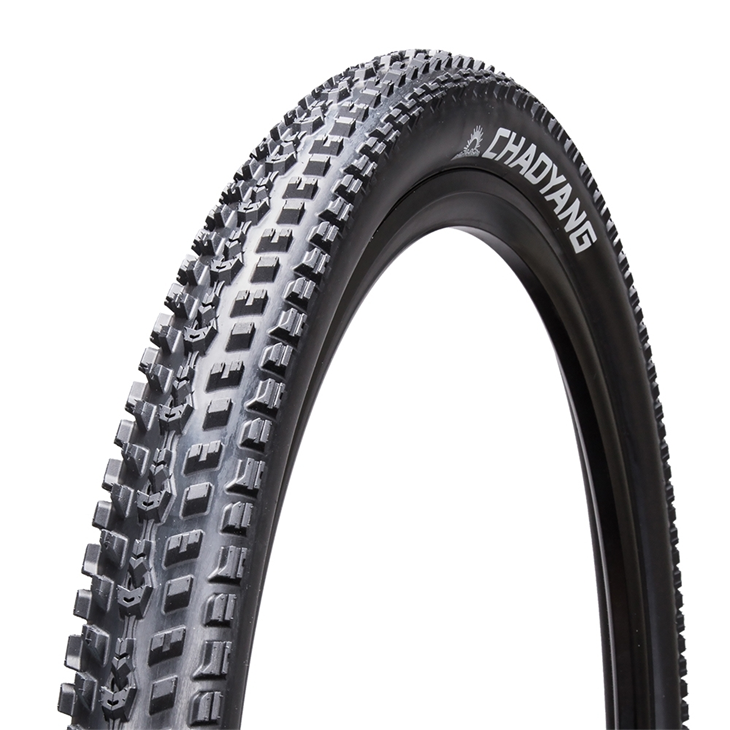 chaoyang Tire Fast Lane TLR 29x2.10