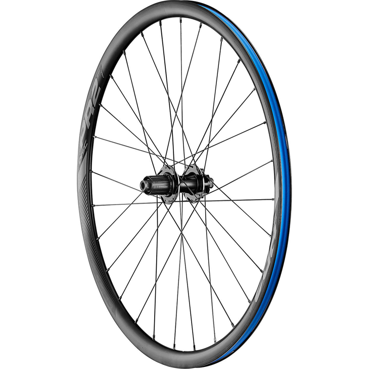 Rueda Giant Tras Pr2 Disc Eje Pasante Mammoth