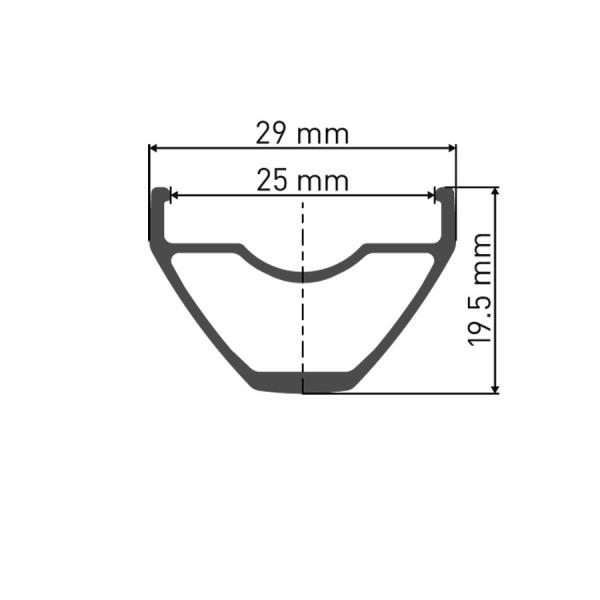  dt swiss X 1900 Spline 29 CL  Boost Shimano Microspline