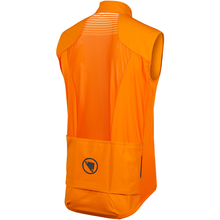 Jaqueta endura Pro SL Lite
