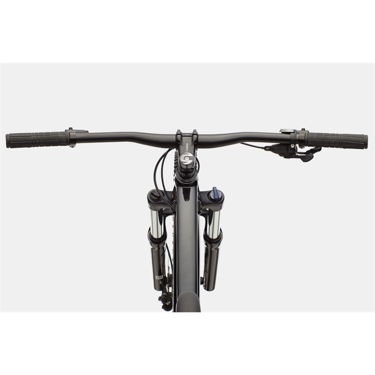 Bicicleta cannondale Trail SE 4 2022
