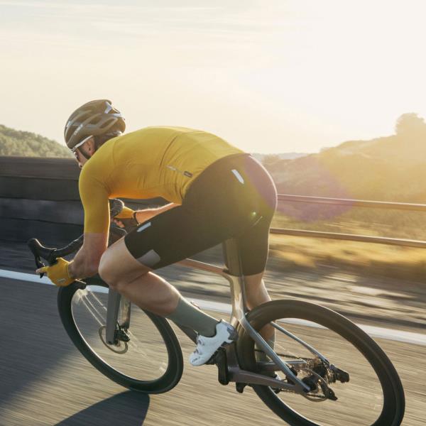 Maillot Q36-5 Pinstripe Pro Short Sleeve Jersey