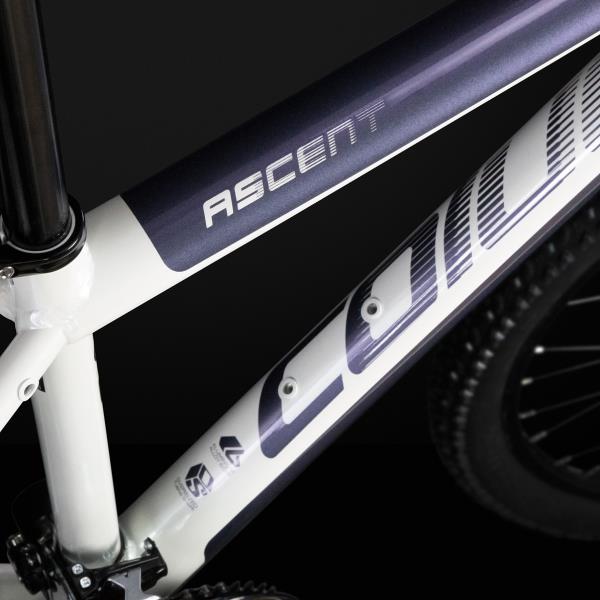 Coluer Ascent 295 2024