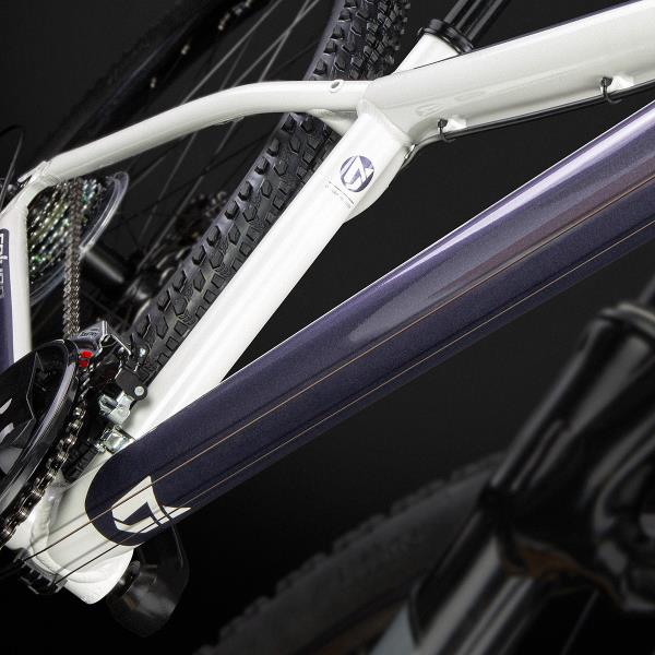 Bicicleta orders coluer ascent 290