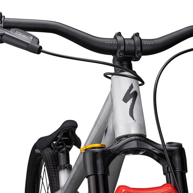 Specialized Bike P.4