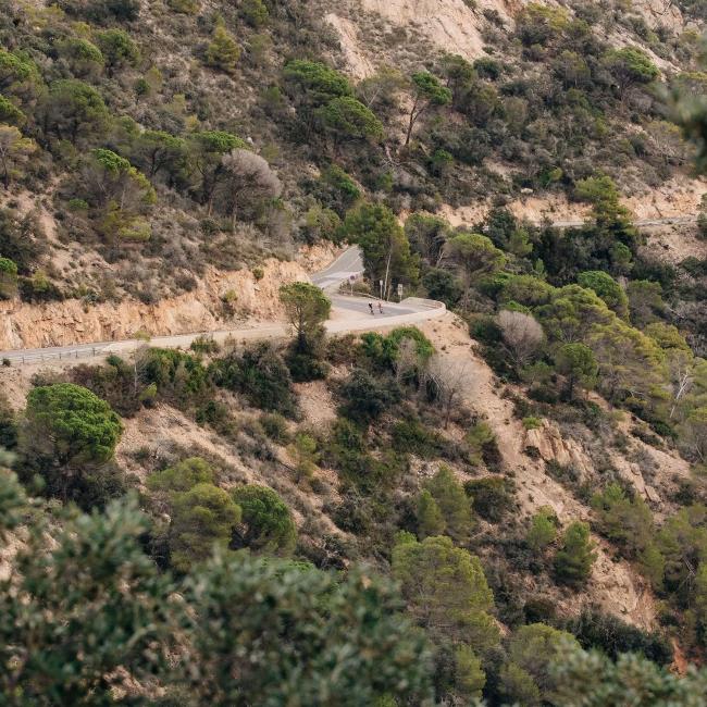 Maillot Specialized Sbc Foundation Jersey Ss Men