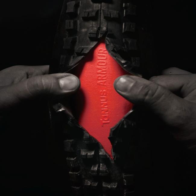 Schaum Tannus 20"x3.0/4.0,(75-100)-406