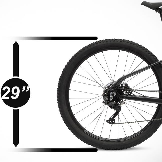 Ebike Coluer Quickvolt Pro Ol 720 2024