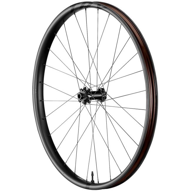 Giant Front Wheel Trx 29 Mammoth
