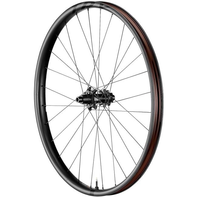 Hinterrad Giant Trx 29