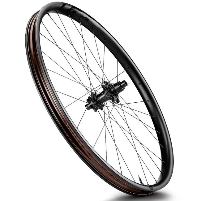 Hinterrad Giant Trx 29