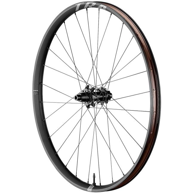 Hinterrad Giant Tra 29