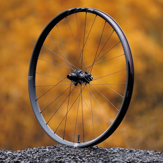 Hinterrad Giant Tra 29