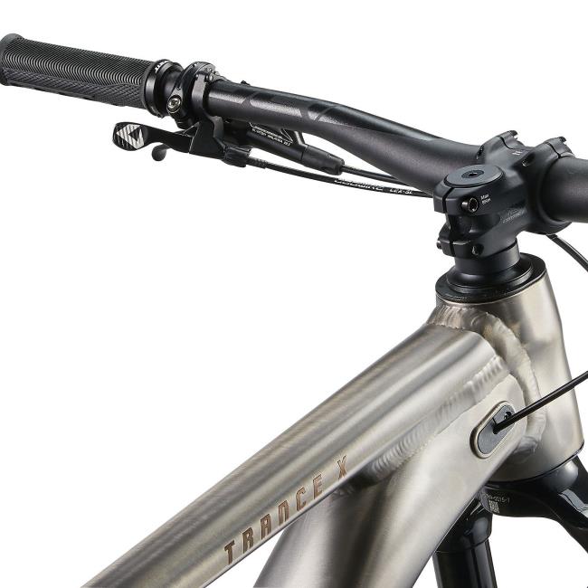 Bicicleta Giant Trance X 1 2025