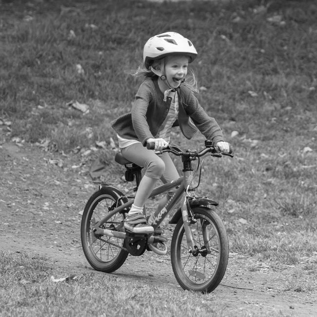 Cykel Frog Bikes Frog 44