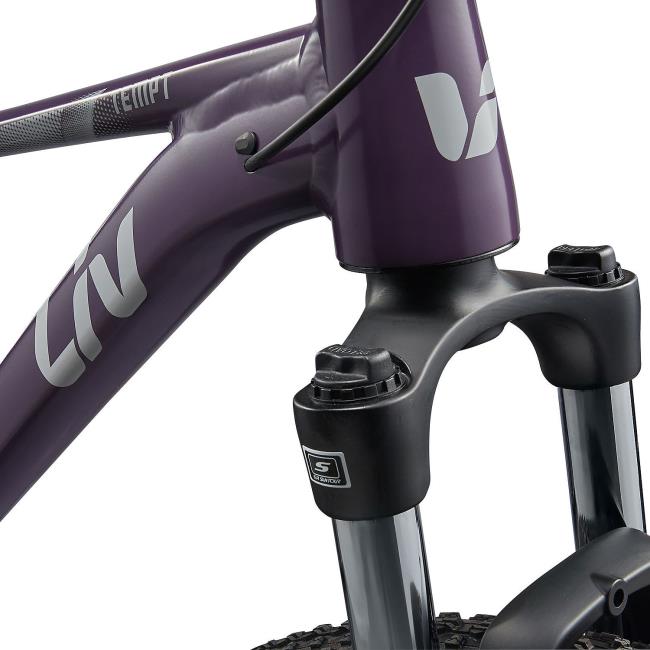 Fahrrad Liv Tempt 3