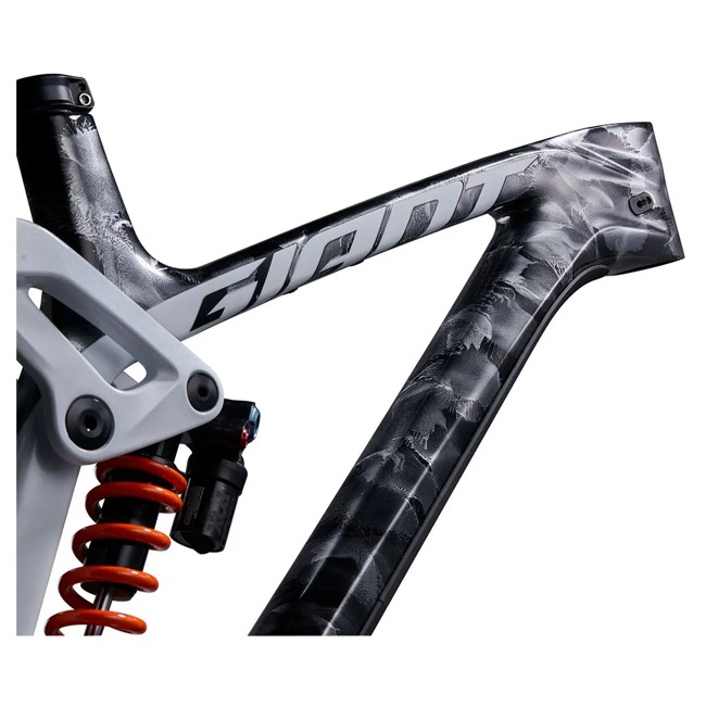 Cuadro Giant Glory Advanced-fr