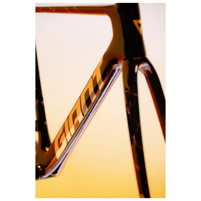 Rahmen Giant Propel Advanced Sl-ff