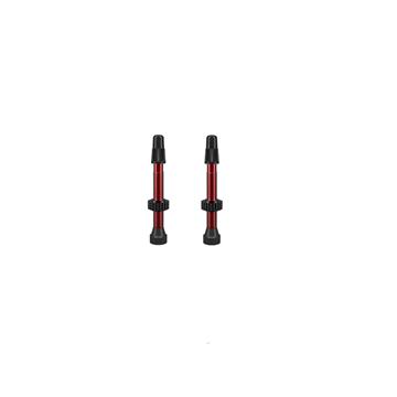 WTB Tubeless Valves Juego Válvulas TCS Aluminio 46 mm