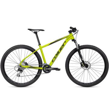  COLUER Limbo 294 2025