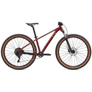 Liv Bike Tempt 29 2