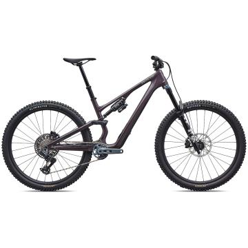 Bicicletta SPECIALIZED Stumpjumper 15 EVO Expert AXS