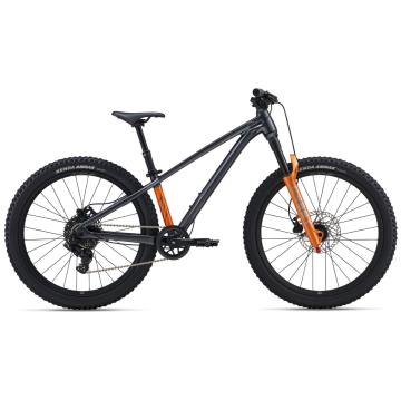Giant Bike Stp 24-Giant