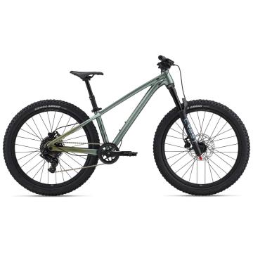 Liv Bike Stp 24-Liv