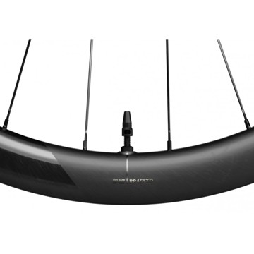 Kola OQUO RP45LTD XDR Rear
