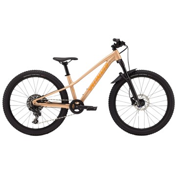 Specialized Bike Riprock Comp 24