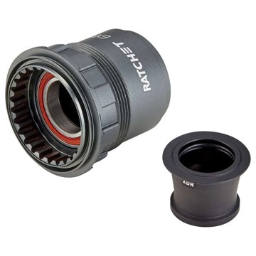 SPECIALIZED Hub DT240 Xd-R, STd bearing, 142x12