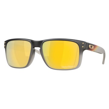 Sluneční brýle OAKLEY Holbrook Prizm 24K Polarized