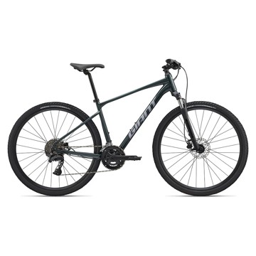 Cykel GIANT Roam 2