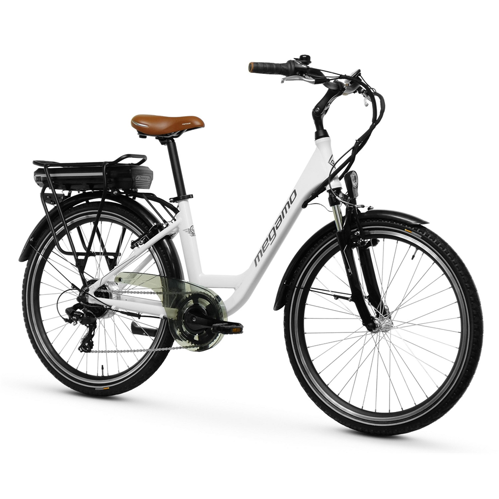 top ebike 2021