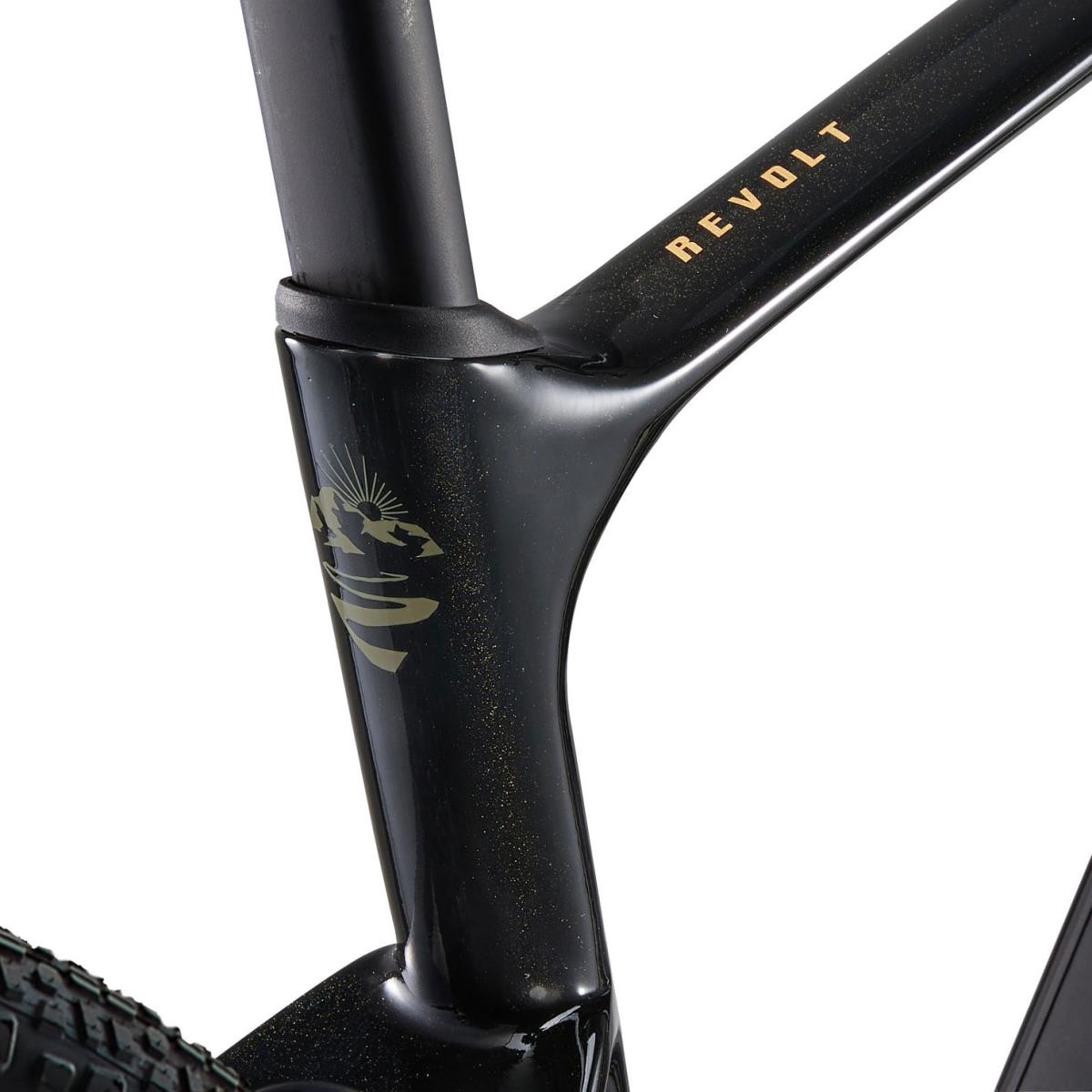 Giant Bike Revolt Advanced 3 2025 Panther | Mammoth