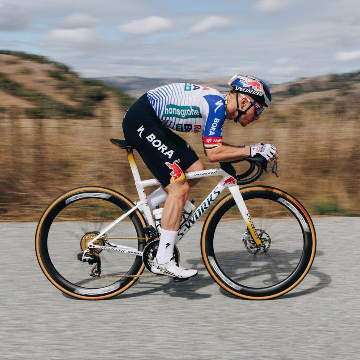 Cubierta Specialized Cotton Tlr Racing 700x28c Tan | Mammoth