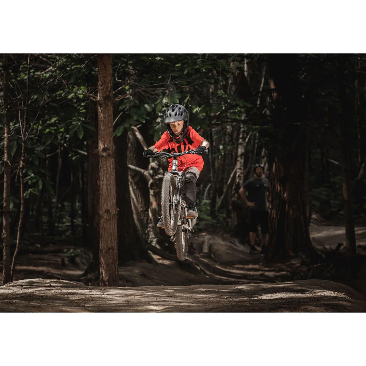 Early Rider Bike Seeker X20 Brushed | Mammoth