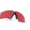  oakley Gafa Radar® EV Path®