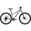 Bicicleta cannondale Trail 5 2023 LAVENDER