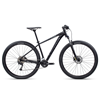 Bicicleta orbea Mx 40 29" 2021