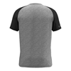 T-shirt scott bike Camiseta Ms 10 Icon Raglan S/Sl