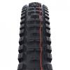  schwalbe Big Betty 29X2.60 Evo Sup.Grav.Tle Ple.