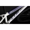 Bicicleta coluer Ascent 294 2024