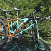 treefrog Bike rack
 Model Pro 3 Plus