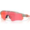 Gafa oakley Gafa Radar® EV Path® MAT GREY I