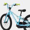 Fahrrad cannondale Kids Trail 20 Single-Speed